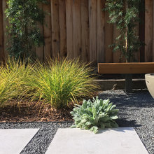 SIDE Of DRIVEWAY