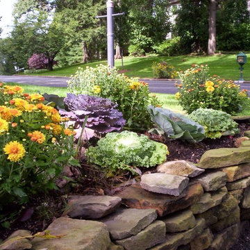 Fall Seasonal Color