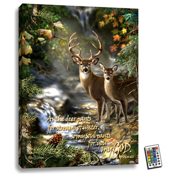 "Deer Creek with Scripture" 18x24 Fully Illuminated LED Art