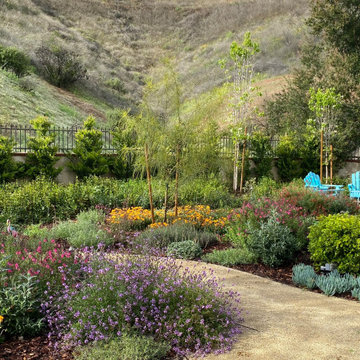 After the Woolsey fires