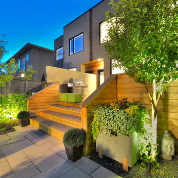 Contemporary Gardens