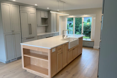 Kitchen - transitional kitchen idea in Boston