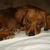 Brenda Jensen's photo