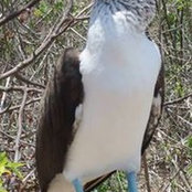 Gail Turner's photo