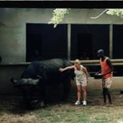 Lisa Allen's photo