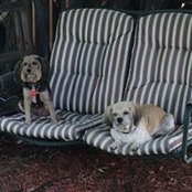 Tina Jorgensen's photo