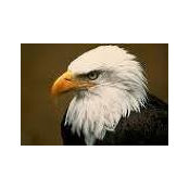 Judi Brown Gerwatowski's photo