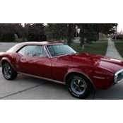Mark Tolbert's photo