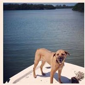 Ryan Roberts's photo
