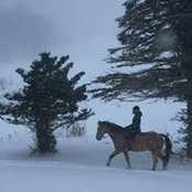 Karine Blot-Hansen's photo