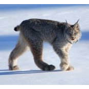 Jivko Darakchiev's photo