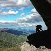 Aaron Hoody's photo