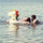 sam_armstrong43