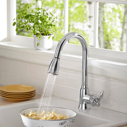 Danze Prince Single Handle Pull-Down Kitchen Faucet - Kitchen Faucets
