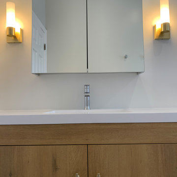 Modernized Lakeview Bathroom