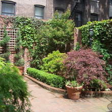 Beacon Hill Garden