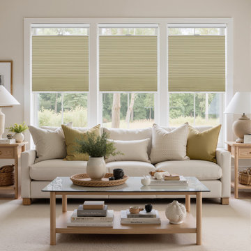 Aura Top Down Bottom Up Blackout Cellular Window Shades Cordless by TWOPAGES