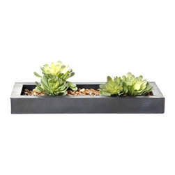 Creative Branch - Plants
