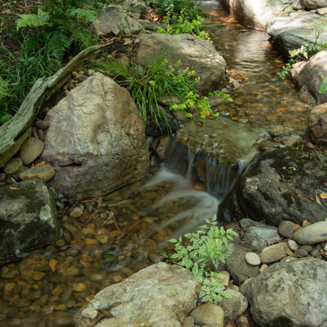 Pondless Waterfalls and backyard stream.