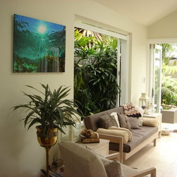 Joel Coleman in homes - In Situ Library - Photographs