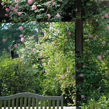 A Garden Through the Seasons