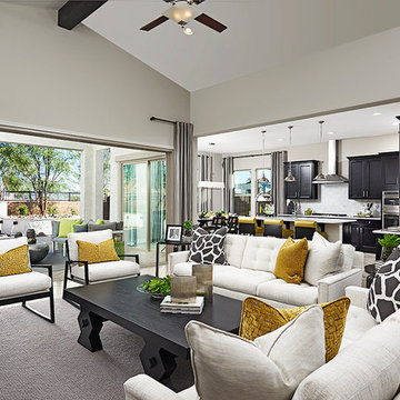 Raven model home in Arizona