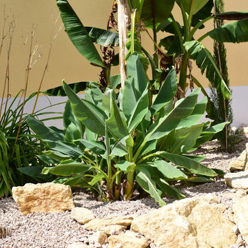 mediterraner Garten in Thüringen