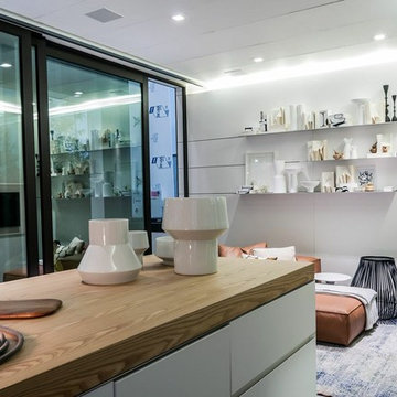 Laneway Residence