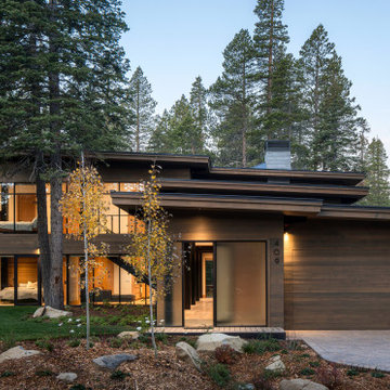 Arboreal House