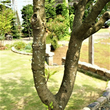 ナチュラル