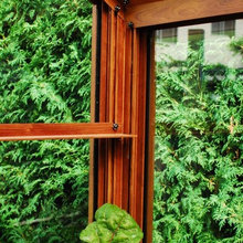Landscape Ideas