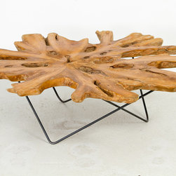 Teak Root Coffee Table - Coffee Tables