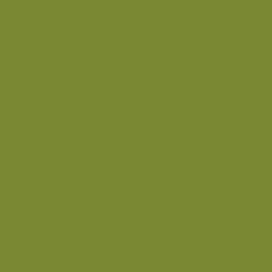 Gecko - Paint
