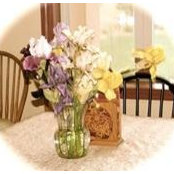 Robin Maupin's photo