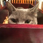 Paula Moore's photo