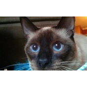 Anthony Hurst's photo