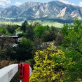 Taddiken Tree Company's profile photo