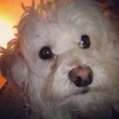 Bailey Ballantyneさんの写真