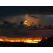 Mary Ellen McManus's photo