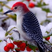 Maggie Tidwell's photo