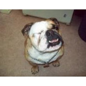 Jacqueline Pillay's photo