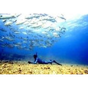 Nandy Yap's photo