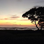 John Campbell's photo