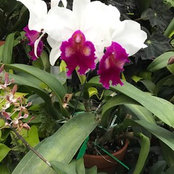 Trish Gilbert's photo