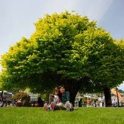 Tan Chong's photo