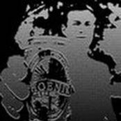 Gary Staunton's photo