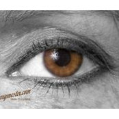 Nicole Wiesel-Uebel's photo