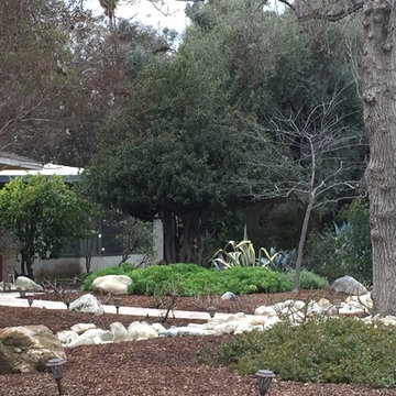 Claremont Homes