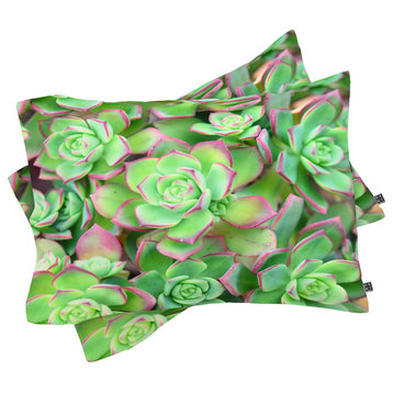 Deny Designs Lisa Argyropoulos Succulents Color Pillow Shams, Queen