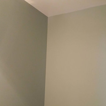 Condo Painters Pro 2015